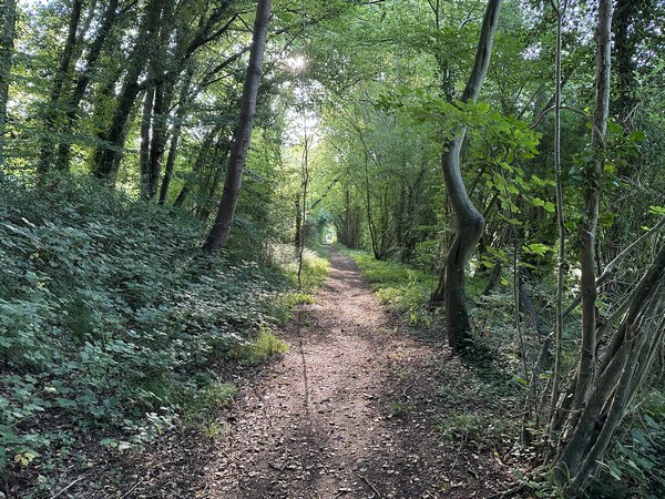 Saint-Didier-des-Bois, chemin d'Argeronne.
