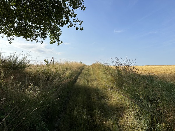 Nous sortons des bois près de la Haye-Malherbe.