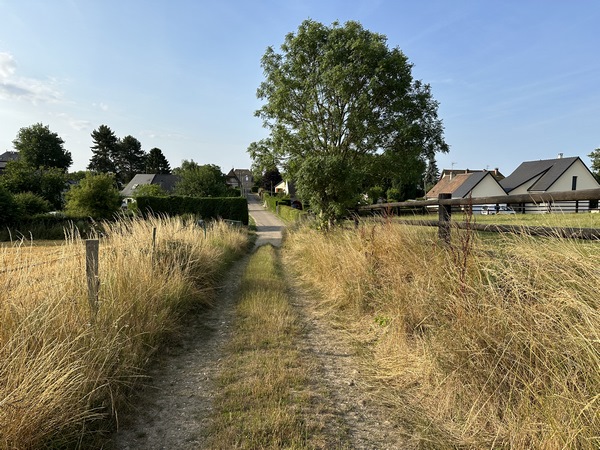 A la fin du chemin, nous allons tourner à droite sur la D81, et laisser le Chemin de Compostelle pour continuer vers Vraiville, la commune mitoyenne.