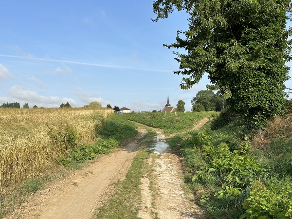 Nous continuons sur les chemins qui longent Vraiville et Mandeville.