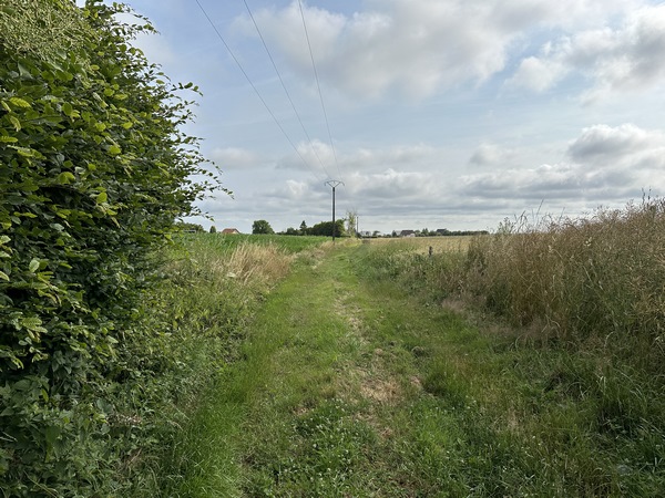 Ce chemin évite le centre du bourg de Mandeville.