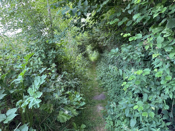 Le chemin devient sentier le long de la vallée Marabel.
