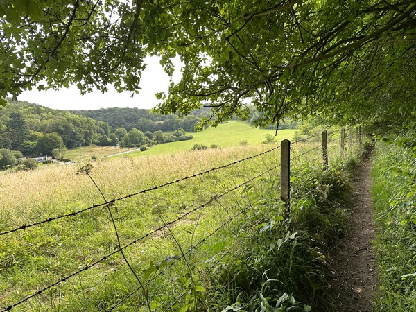Nous longeons le bois de Troussebot, en dominant la vallée de l'Oison.&nbsp;