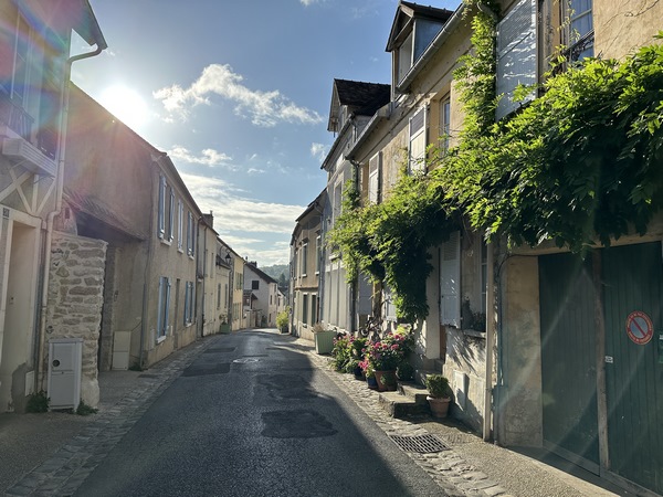 Claude Monet réside à Vétheuil de 1878 à 1881. Ce n'est pas la plus belle période de sa vie, puisqu'il perd son épouse Camille âgée de 32 ans et cumule de nombreuses dettes. Camille repose dans le cimetière du village.