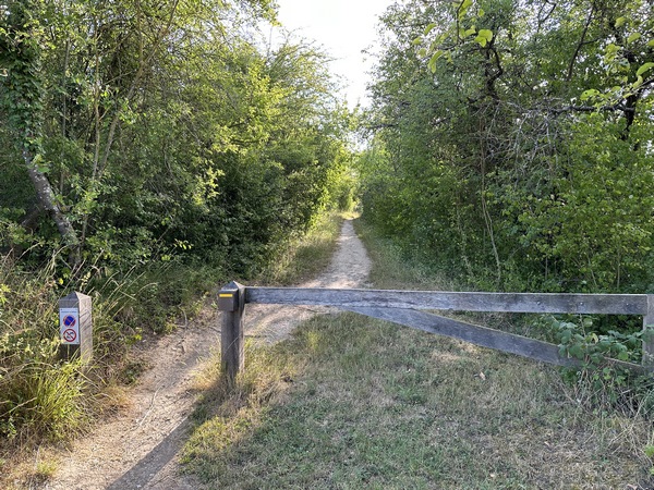 Nous trouvons le chemin des Vignes dès la sortie du bourg. Le balisage est régulier, mais croise celui d'autres circuits balisés aussi de jaune. Le nôtre porte la référence B2.