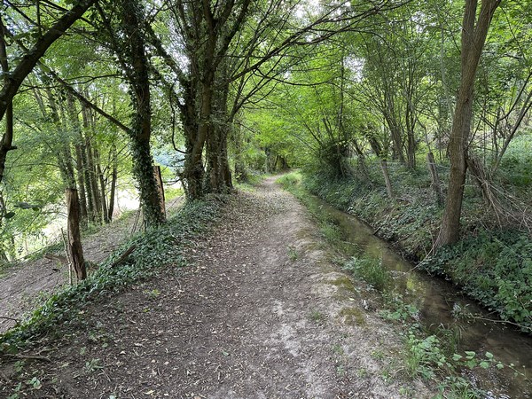 Nous suivons le chemin du Paradis, dont l'entrée est juste en face du moulin de Pierre. Nous sommes à mi-pente de la colline, et le ruisseau à droite est un bief chargé d'alimenter les moulins de Paradis, de Pierre et de Madame. Le ruisseau principal, le Ru de Vienne, coule, bien sûr, dans la vallée à notre gauche.