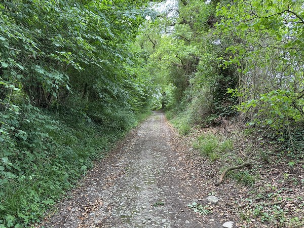 Nous sommes maintenant sur l'antique chemin de Mantes qui longe le parc du château de la Bûcherie.