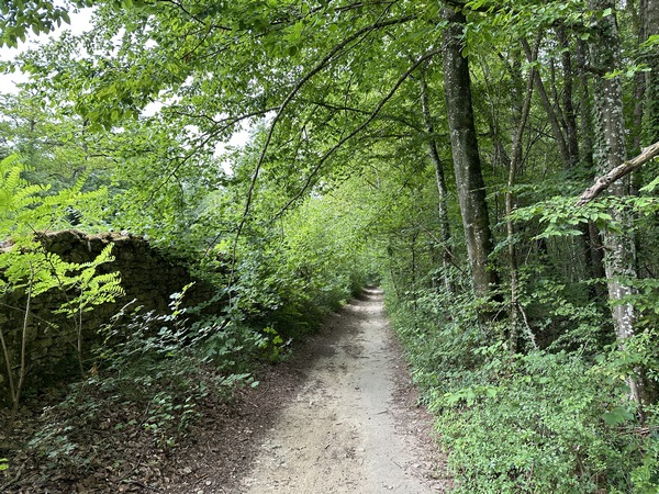 Le mur à gauche, est celui du parc du château du Mesnil, de Fontenay-St-Père. Nous allons bientôt quitter le GR11 pour suivre le GR2 au Rond-Point.