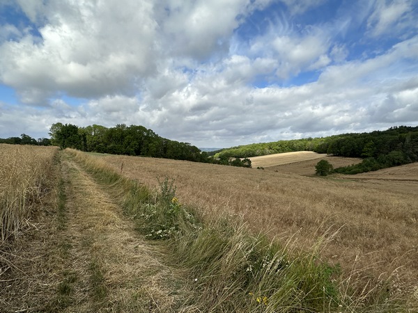 Nous sortons, provisoirement, de la forêt du Chesnay pour descendre vers Follainville-Dennemont.