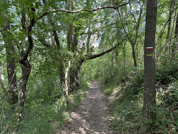 Le GR2 nous conduit à nouveau dans le massif forestier du Chesnay, au bois de Notre-Dame. Notre-Dame de la Désirée est un lieu de pèlerinage, depuis que le roi Charles V, perdu en forêt, aurait aperçu la flèche de l'église St-Martin après avoir prié la Vierge.