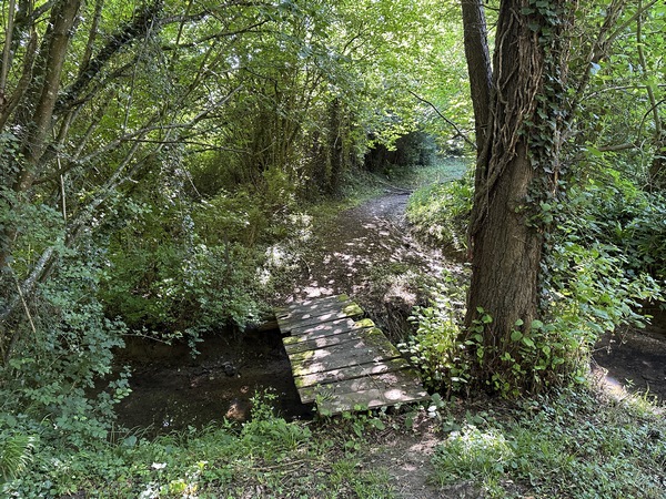Nous descendons vers la vallée, et prenons la passerelle sur le Douet Hébert. Pour arriver là, nous n'avons pas pris le chemin de l'Emprière du circuit officiel, qui a disparu sous la végétation, mais le chemin de la Choppe.