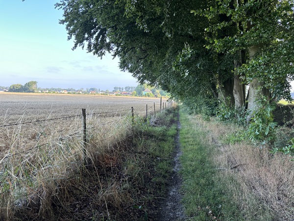 Nous suivons le chemin frontière entre Motteville et Flamanville.