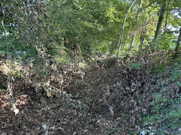 Des branches tombées encombrent un peu le chemin. Rien de méchant.