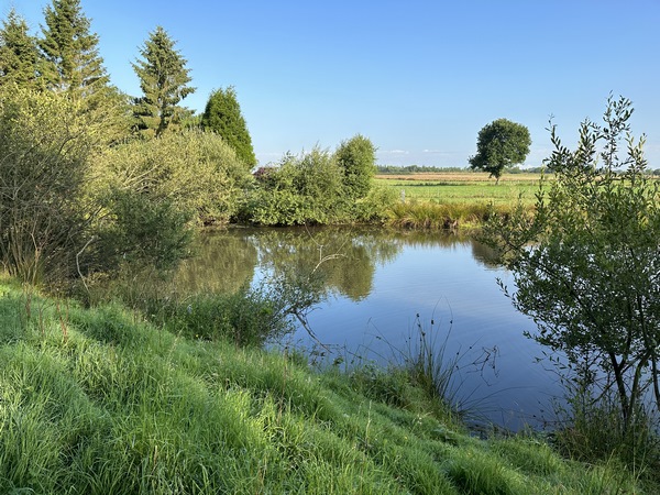 Mare de l'ancien marais, rue du Petit Pont.