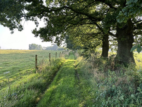 Chemin des Aubépines au nord de Motteville.