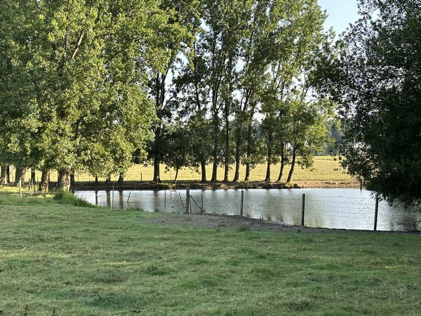 Mare en bordure du chemin des Aubépines.