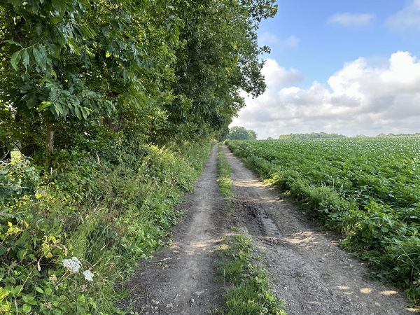 Nous quittons la D467 pour tourner ici sur le chemin de Hongrie aux Mares.