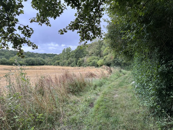 Peu après l'église, nous tournons vers l'ouest sur cet agréable chemin.