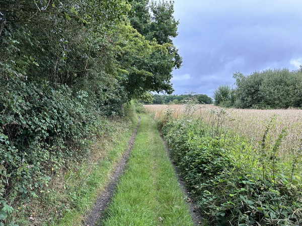 Nous sortons du hameau de la Bertouderie par ce chemin.