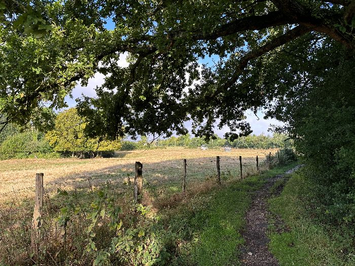 Nous sortons de la forêt par le chemin de la Mare au Vivier.