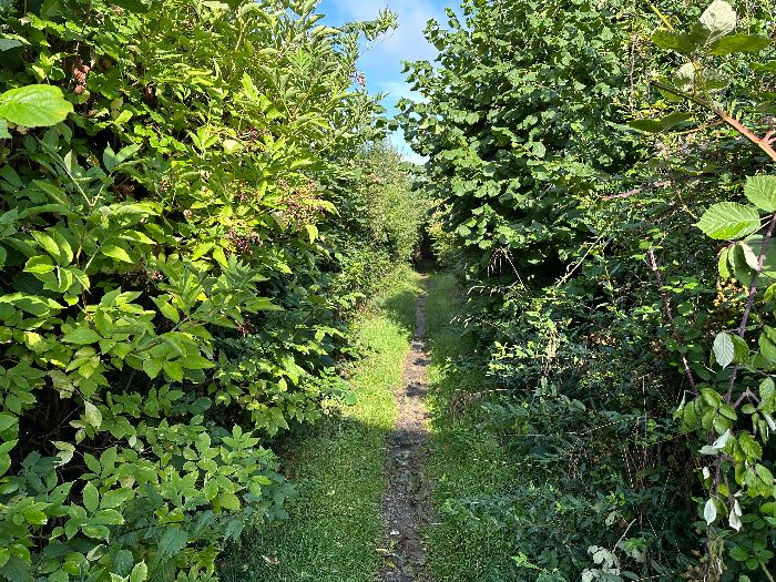 Nous suivons deux chemins qui relient la Saussaye à Saint-Pierre-des-Fleurs.
