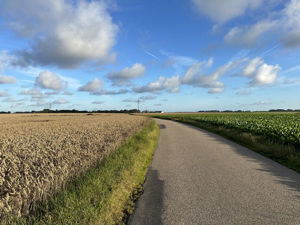 Nous sortons du bourg par la petite route qui le relie à Ypreville.