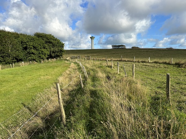 Notre chemin traverse la plaine de Bondeville.