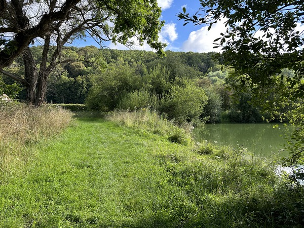 Nous entrons dans la zone des étangs de Colleville. Ces anciennes ballastières, ont été aménagées en étangs d'agrément ou de pêche. Nous suivons la Promenade des Etangs aménagée par la ville de Colleville.