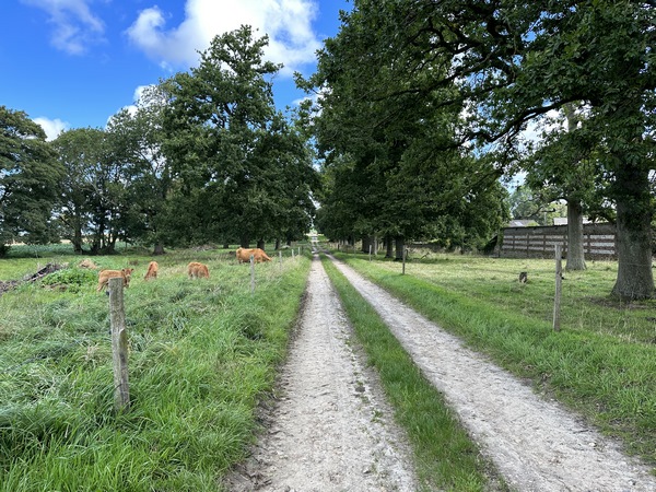 Nous entrons dans Angerville-la-Martel par le chemin de la Passée, le long du manoir presbytéral.