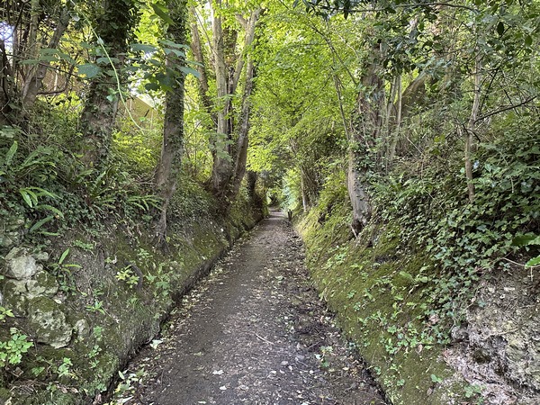 Nous sommes toujours dans Villers, mais le croirait ?