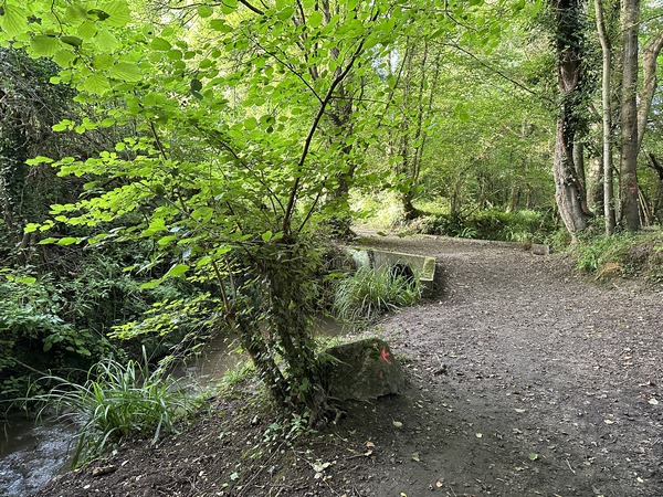 Nous descendons le chemin du Moulin, et longeons ici le ruisseau de Saint-Vaast.