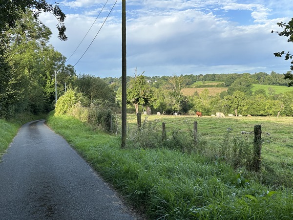 Nous sommes sur le Chemin du Moncel. Ils sont nombreux ces chemins du bocage qui ont été bitumés pour desservir les quelques maisons qui les bordent. Nous n'y avons croisé aucune voiture.