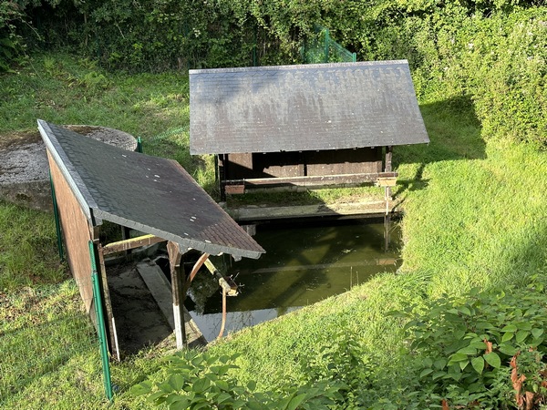 En contrebas de la route, se cachent les lavoirs de Saint-Vaast. Un peu plus loin se trouve l'ancienne mairie de 1908, typique des mairies du Pays d'Auge. Elle abrite un mémorial aux parachutistes morts dans le bois de Saint-Vaast en 1944. (cf album de la rando)