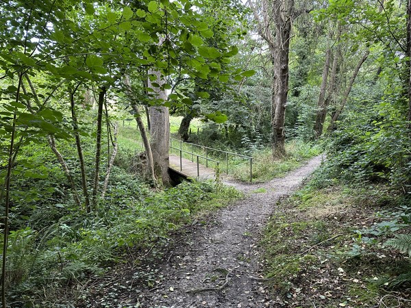 La Promenade du Ruisseau du Parc, près de l'Herbage de la Comtesse. La comtesse en question est Martine de Béhague, comtesse de Béarn, figure des années folles. Elle possédait un immense domaine sur les hauteurs de Villers-sur-Mer.