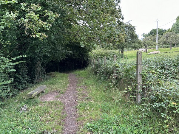 Nous tournons sur le Chemin Baudry, en direction d'Auberville.
