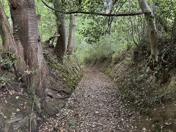 Le Chemin Baudry traverse le ruisseau de la Butte au Vilain, et remonte vers Auberville.