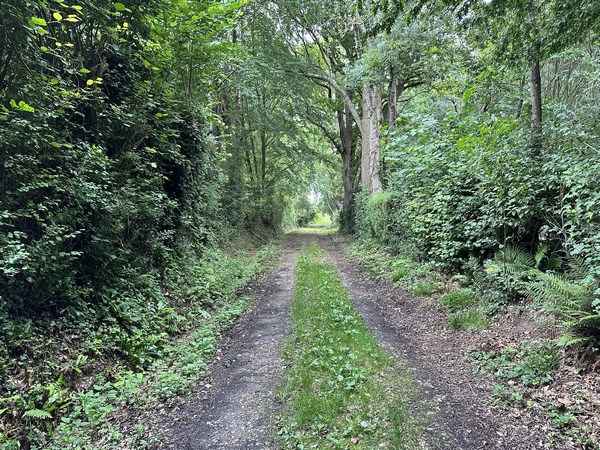 Nous entrons dans Auberville par le Chemin de la Chapelle.