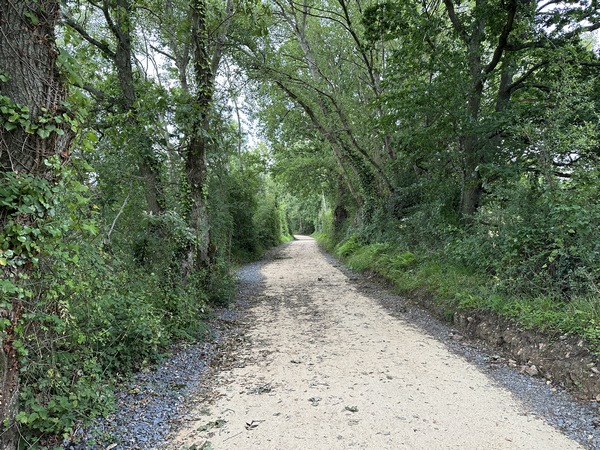 Nous quittons l'église Notre-Dame par le chemin de l'Eglise au Manoir (GR223). Nous sommes sur les Falaises des Vaches Noires, mais la mer reste invisible.