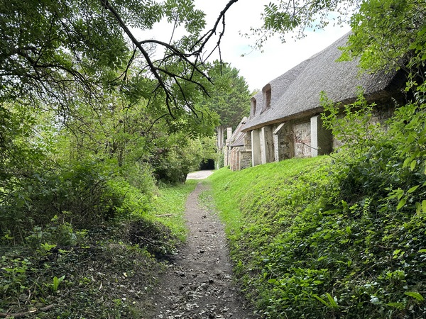Le chemin devient plus sauvage en approchant de Villers-sur-Mer.&nbsp;