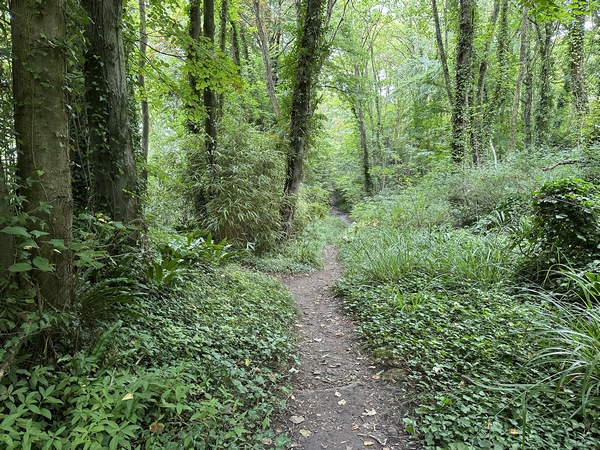Nous entrons dans Villers-sur-Mer par le GR223 qui se glisse ici entre les parcs des propriétés.