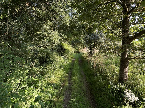 Les chemins sont délicieux, souvent boisés, et parfaitement entretenus.