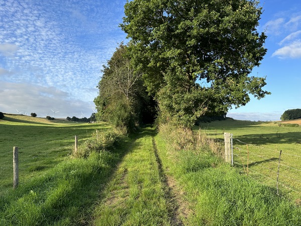 Nous traversons la plaine de Lamberville. Ici, même les chemins de plaines sont magnifiques.