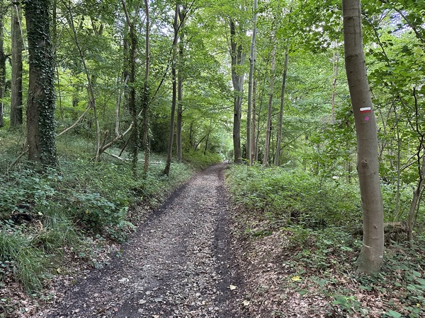 Dans la descente, nous rejoignons le GR212.