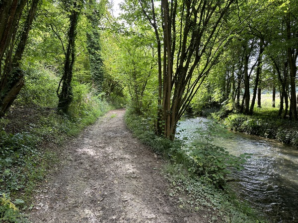 Le sublime GR212 longe la Saâne. On devine pourquoi c'est l'un de nos GR préférés.