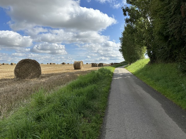 Nous marchons vers Biville-la-Baignarde. Cette partie de l'itinéraire est constituée de routes. Elles sont petites et très tranquilles, et pas désagréables comme on le voit, mais cette partie supporte mal la comparaison avec la beauté des chemins précédents.