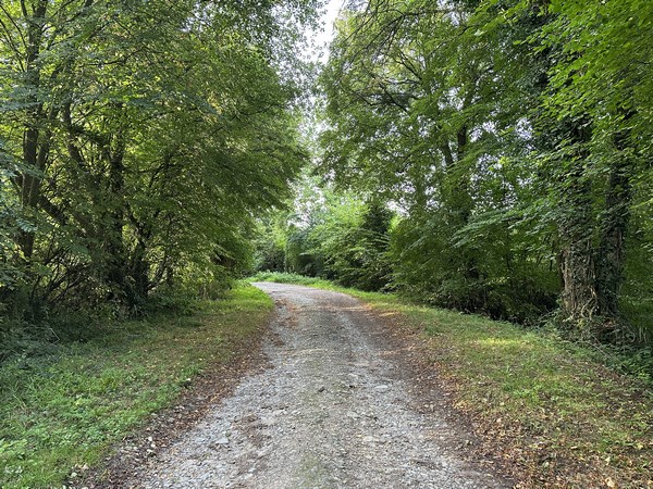 Nous quittons le parking, et peu après sur l'avenue d'Ornano, nous trouvons notre premier chemin, celui du Varibeau.