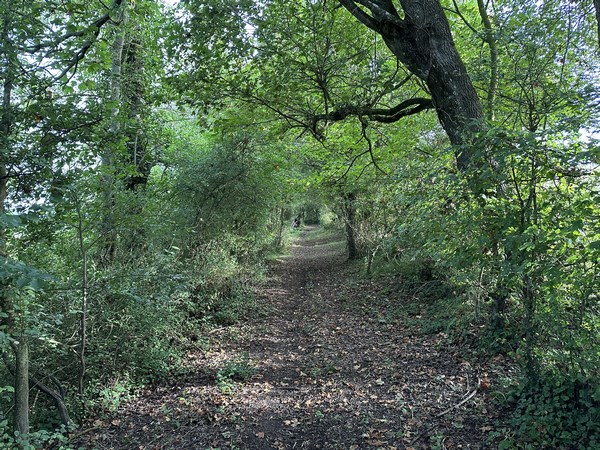 A St-Léger-Dubosq, nous suivons ce Chemin de l'Eglise.