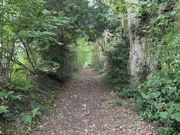Nous adorons ces chemins, et ils se succèdent depuis le départ.