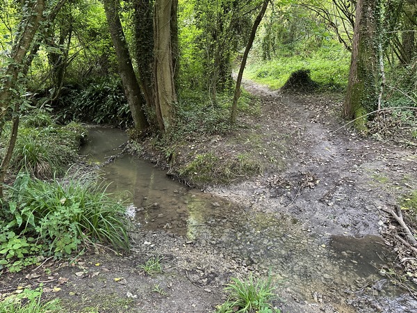 Nous traversons le Ruisseau du Philbec.