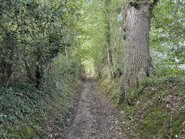 Le Chemin de Traverse.